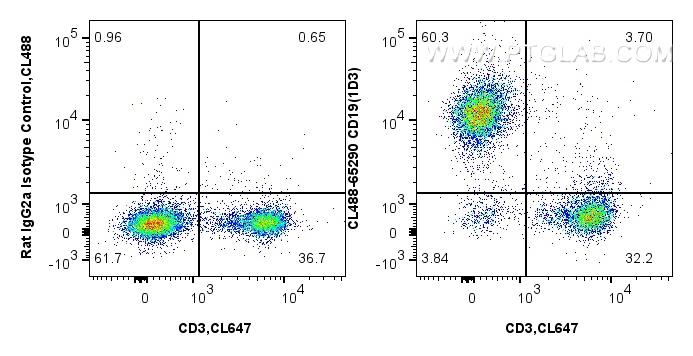 FC experiment of mouse splenocytes using CL488-65290