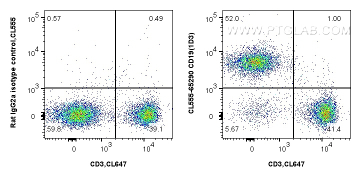 FC experiment of C57BL/6 mouse splenocytes using CL555-65290