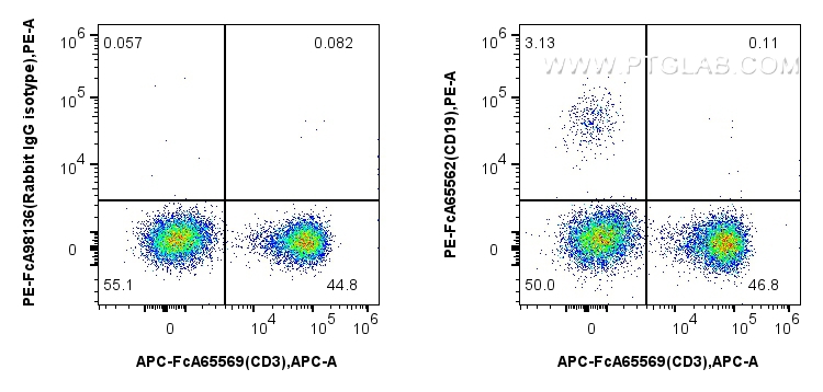 CD19