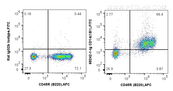 FC experiment of BALB/c mouse splenocytes using 65242-1-Ig