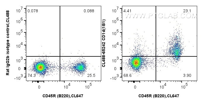 FC experiment of mouse splenocytes using CL488-65242