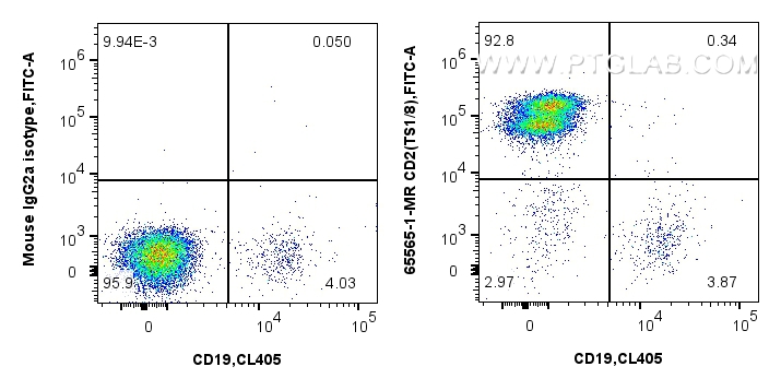 FC experiment of human PBMCs using 65565-1-MR