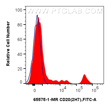 FC experiment of human PBMCs using 65575-1-MR