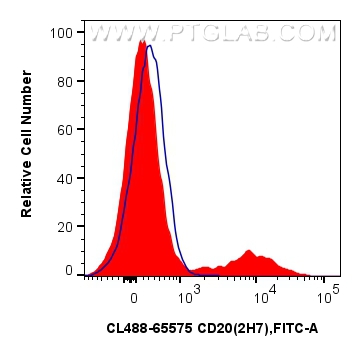 CD20