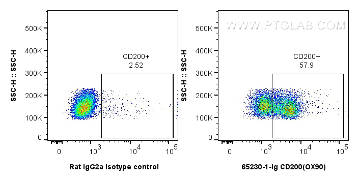 FC experiment of mouse splenocytes using 65230-1-Ig