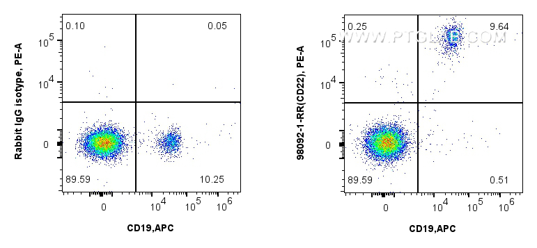 FC experiment of human PBMCs using 98092-1-RR (same clone as 98092-1-PBS)