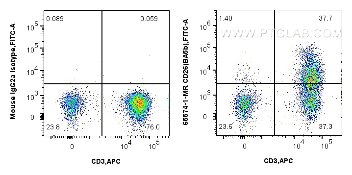 CD26