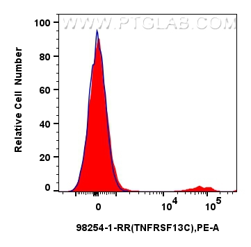 CD268/BAFF-R