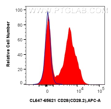 CD28