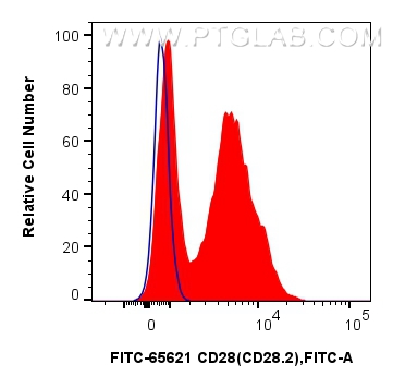 CD28