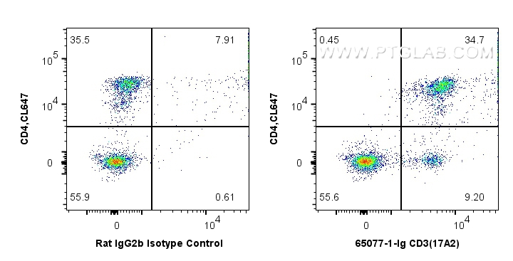 CD3