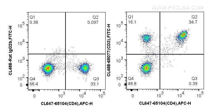 CD3