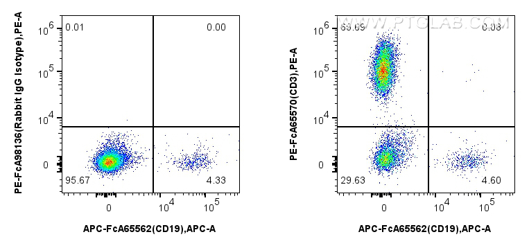 CD3