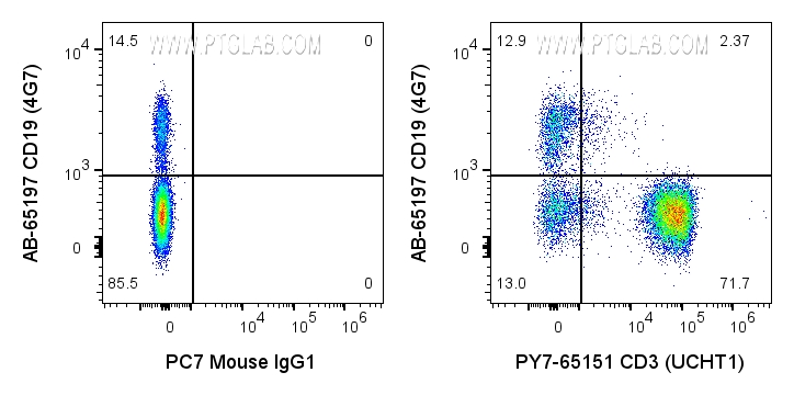 FC experiment of human PBMCs using PY7-65151