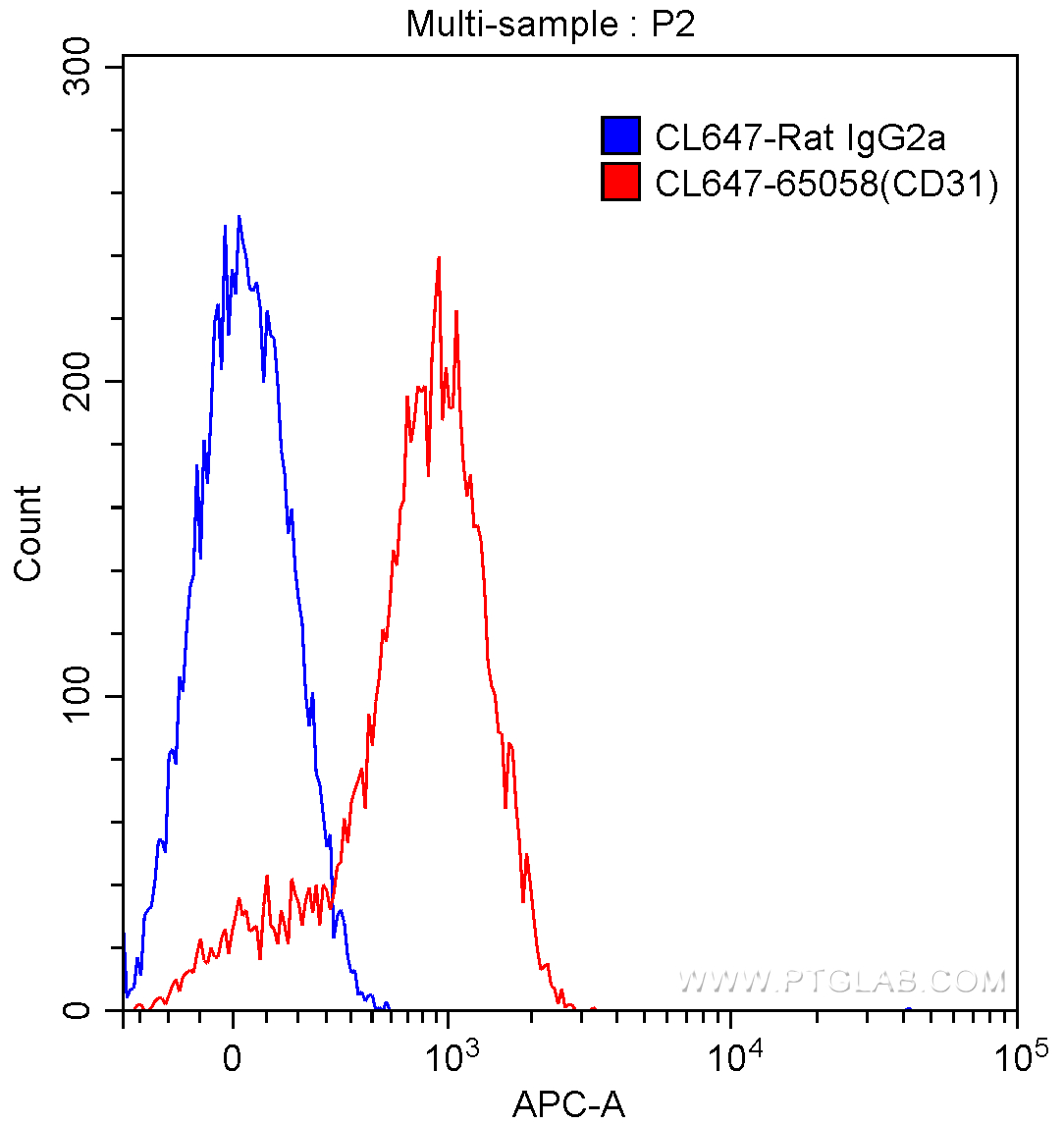 CD31