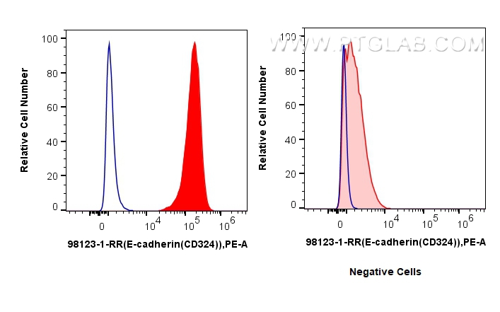 FC experiment of MCF-7 using 98123-1-RR (same clone as 98123-1-PBS)