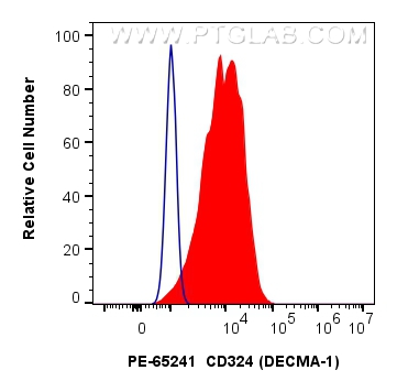 FC experiment of MDCK using PE-65241