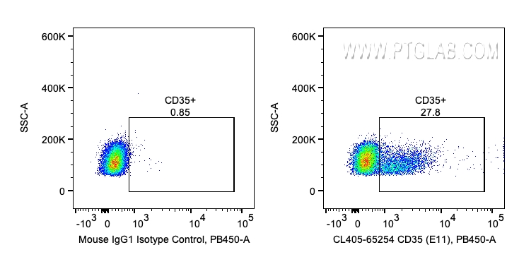 CD35