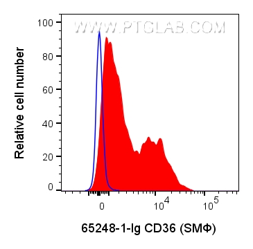 FC experiment of human peripheral blood platelets using 65248-1-Ig