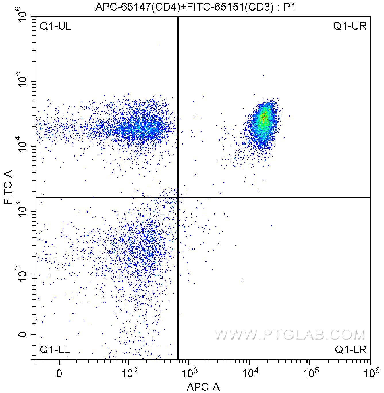 CD4