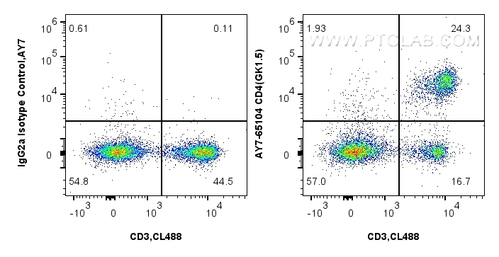 FC experiment of mouse splenocytes using AY7-65104