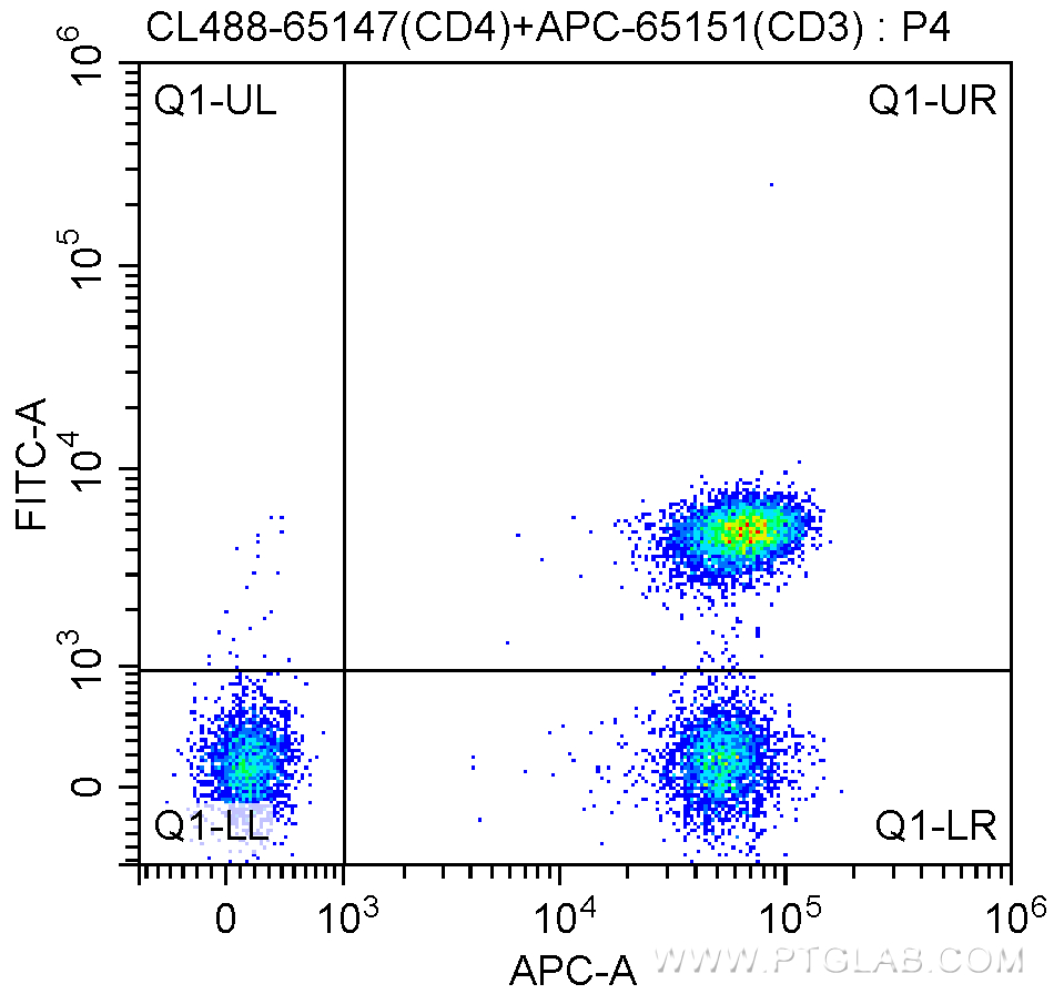 CD4