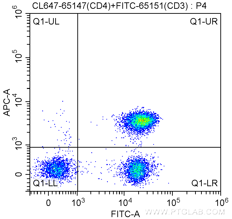 CD4