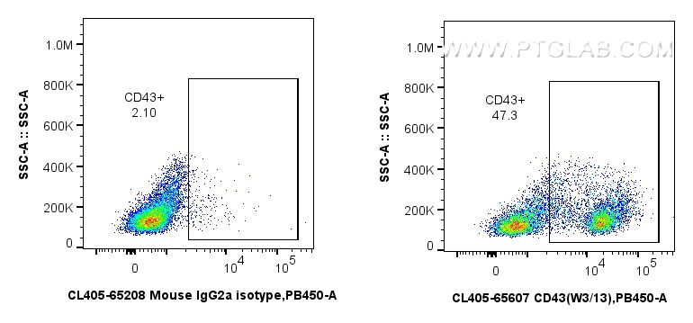 FC experiment of rat splenocytes using CL405-65607