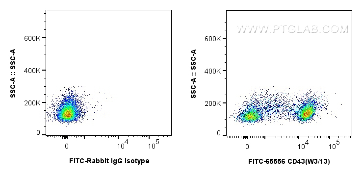 FC experiment of rat splenocytes using FITC-65556