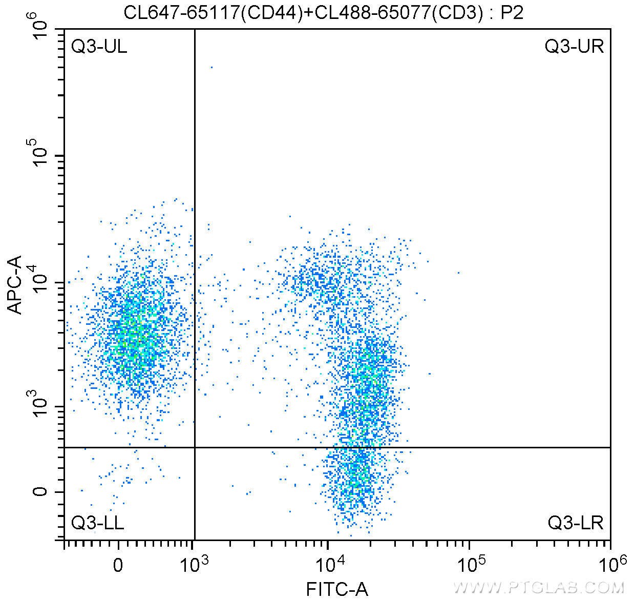 CD44