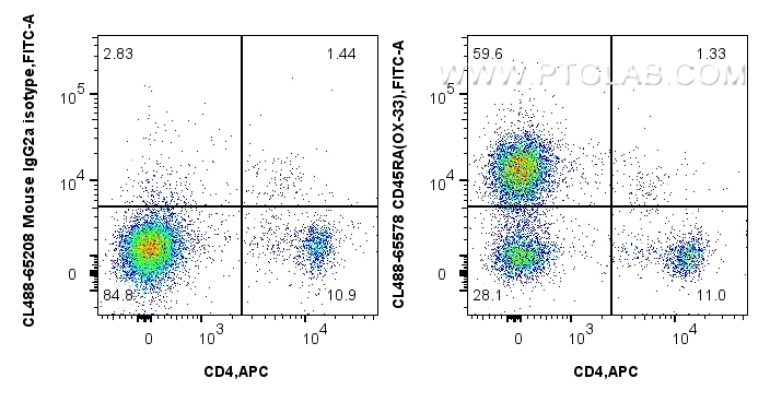 FC experiment of rat splenocytes using CL488-65578