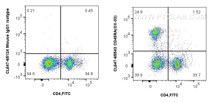 FC experiment of rat splenocytes using CL647-65543