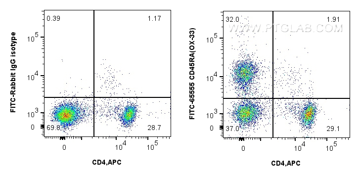 FC experiment of rat splenocytes using FITC-65555