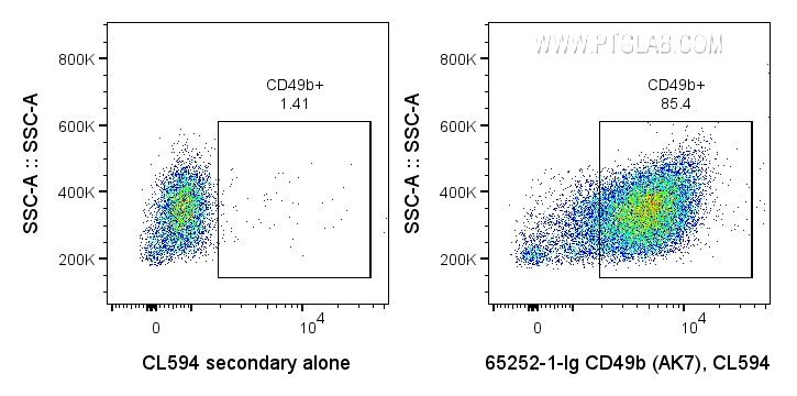 FC experiment of human PBMCs using 65252-1-Ig