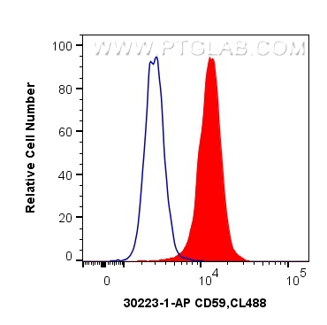 CD59