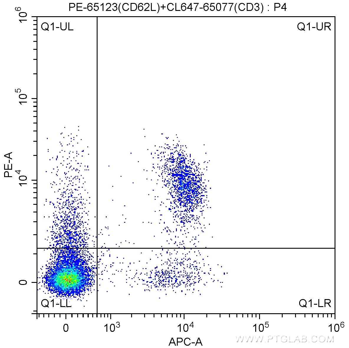 FC experiment of mouse splenocytes using PE-65123