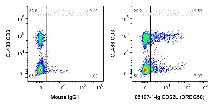 FC experiment of human PBMCs using 65167-1-Ig