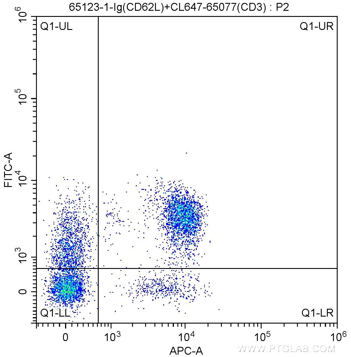 FC experiment of mouse splenocytes using 65123-1-Ig