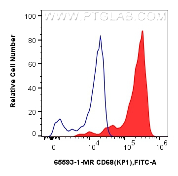 FC experiment of human PBMCs using 65593-1-MR