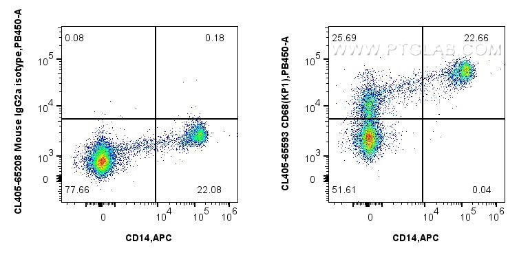 FC experiment of human PBMCs using CL405-65593