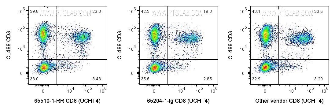 CD8