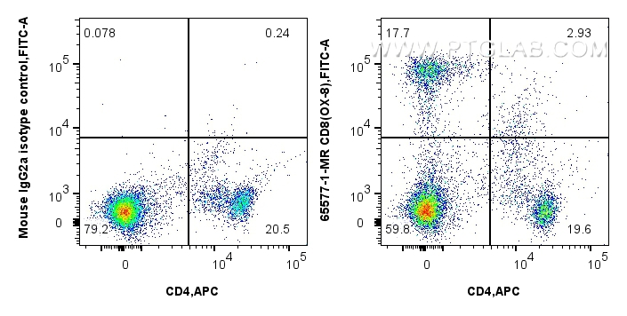 FC experiment of rat splenocytes using 65577-1-MR