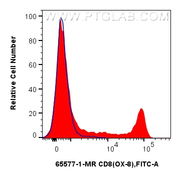 FC experiment of rat splenocytes using 65577-1-MR