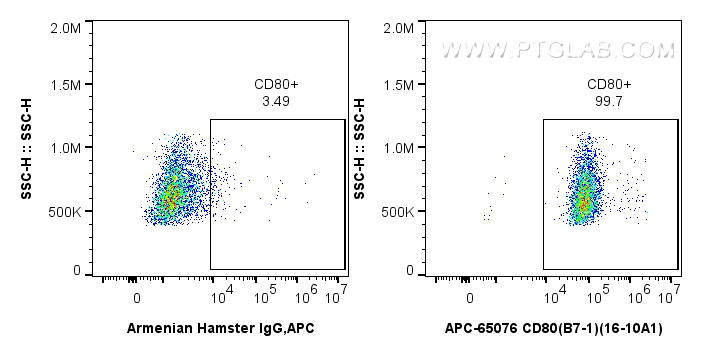 FC experiment of Balb/c mouse peritoneal macrophages using APC-65076