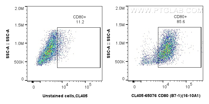 FC experiment of BALB/C mouse peritoneal macrophages using CL405-65076