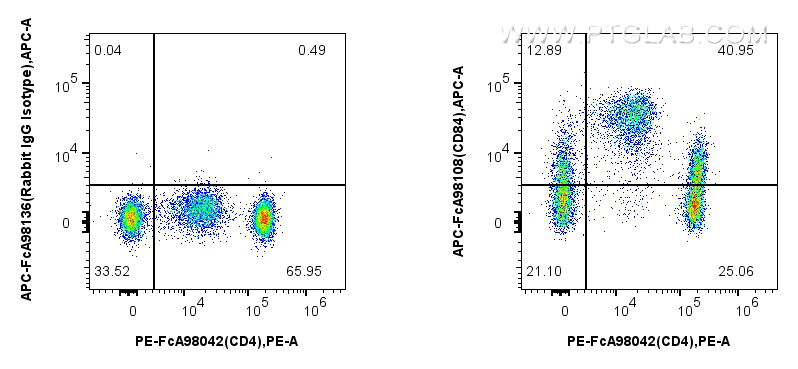 CD84