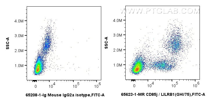 FC experiment of human PBMCs using 65623-1-MR