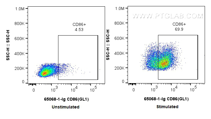 FC experiment of mouse splenocytes using 65068-1-Ig