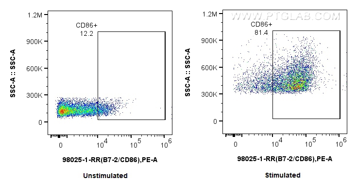 FC experiment of mouse splenocytes using 98025-1-RR (same clone as 98025-1-PBS)