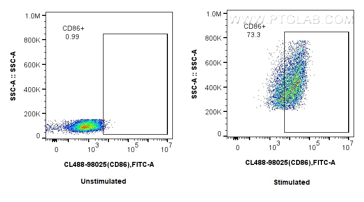 FC experiment of mouse splenocytes using CL488-98025